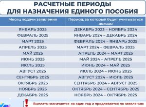 Расчетный период для назначения единого пособия 